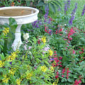 Share Your Butterfly Gardening Experiences in Southwest Florida
