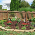 Creating a Butterfly-Friendly Garden in South Florida