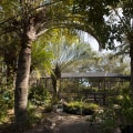 Creating a Visually Appealing Butterfly Garden in Southwest Florida