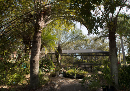 Creating a Visually Appealing Butterfly Garden in Southwest Florida