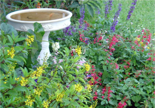 Creating a Butterfly Garden in Southwest Florida: Incorporating Educational Elements